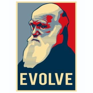 Evolve shirt