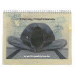 Evolving Consciousness Calendars