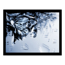 evvie posters