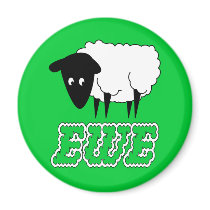 Ewe Magnet