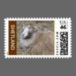 EWE ON A STAMP stamps