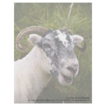 Ewe Personalized Letterhead by SabineSt Ewe Personalized Letterhead
