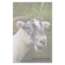Ewe Personalized Stationery