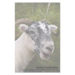Ewe Personalized Stationery