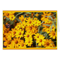 Ex Flower Show cards by picsofto Ex Flower Show cards