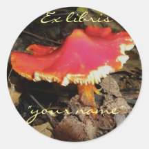 Ex Libris Red Mushroom Stickers to Customize