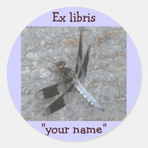 Ex pegatinas de la libélula de Libris a modificar 