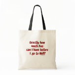 Exactly How Much Fun Bag