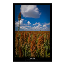 Excel posters