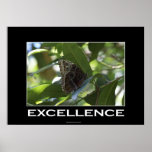 EXCELLENCE Butterfly Motivational Poster