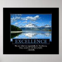 Excellence Inspirational Poster