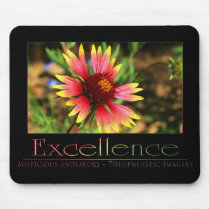 Excellence mousepads