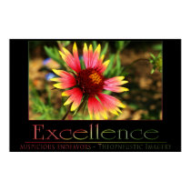 Excellence posters by JustBeDesigns Excellence posters