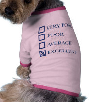 Excellent pet clothing by funoriginals Excellent pet clothing