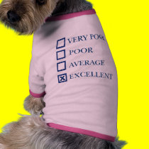 Excellent pet clothing