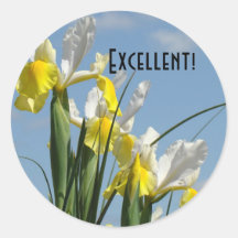 Excellent! stickers Blue Sky Yellow Iris Flowers