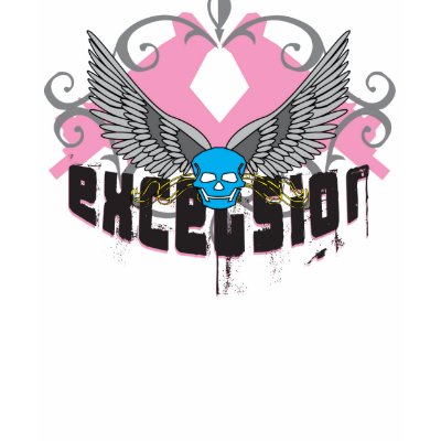 Excelsior "Winged Bandit" tee Tanktop by bads
