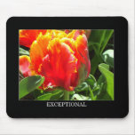 Exceptional! Mouse Pad