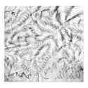Excessive Doodling on a Hotel Bar Napkin Wall Deco posters