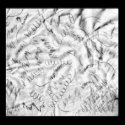 Excessive Doodling on a Hotel Bar Napkin Wall Deco posters by katzrmine Excessive Doodling on a Hotel Bar Napkin Wall Deco posters