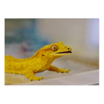 Excited Crested Gecko Business Card
