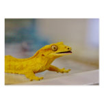 Excited Crested Gecko Business Card