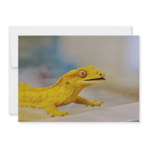 Excited Crested Gecko Personalized Invite