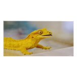 Excited Crested Gecko Photo Greeting Card