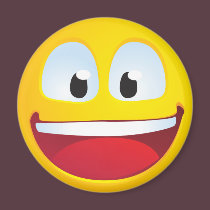 Excited Smile magnets