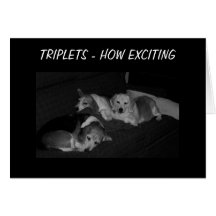 EXCITING NEWS-TRIPLETS CARD