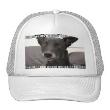 Excuse ME Hat