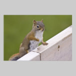Excuse Me, Ma'am fine art print