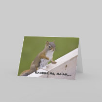 Excuse Me, Ma'am greeting card cards