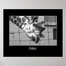 Excuse Me Poster