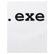 .EXE flyers