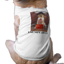 EXEMPLARY K-9 pet clothing by myrtieshuman EXEMPLARY K-9 pet clothing