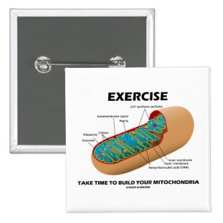 Exercise Take Time To Build Your Mitochondria Buttons