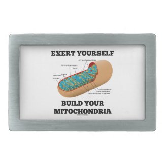 Exert Yourself Build Your Mitochondria Belt Buckles