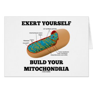 Exert Yourself Build Your Mitochondria Cards