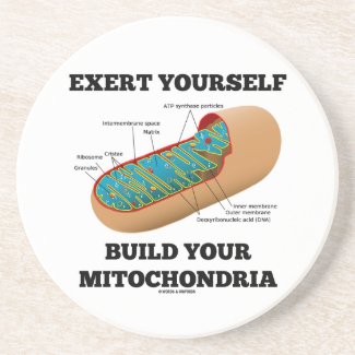 Exert Yourself Build Your Mitochondria Beverage Coaster
