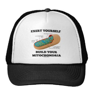 Exert Yourself Build Your Mitochondria Hat