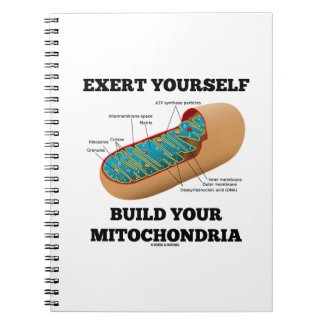Exert Yourself Build Your Mitochondria Journal