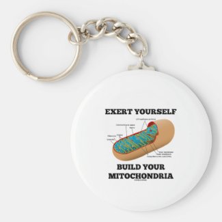 Exert Yourself Build Your Mitochondria Keychains