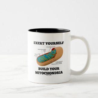 Exert Yourself Build Your Mitochondria Mug