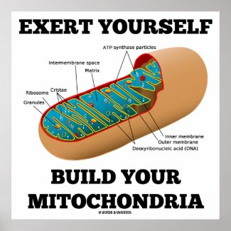 Exert Yourself Build Your Mitochondria Poster