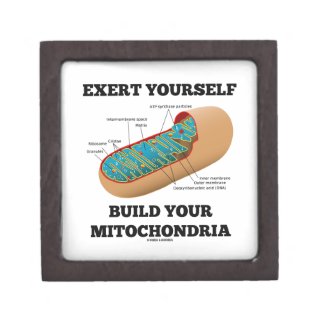 Exert Yourself Build Your Mitochondria Premium Trinket Boxes