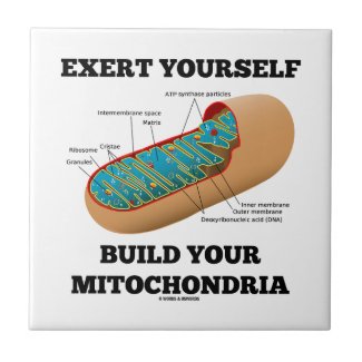 Exert Yourself Build Your Mitochondria Ceramic Tiles