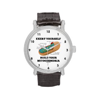 Exert Yourself Build Your Mitochondria Wristwatch