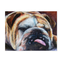 Exhausted (Bulldog) Postcards by jaisjewels Exhausted (Bulldog) Postcards