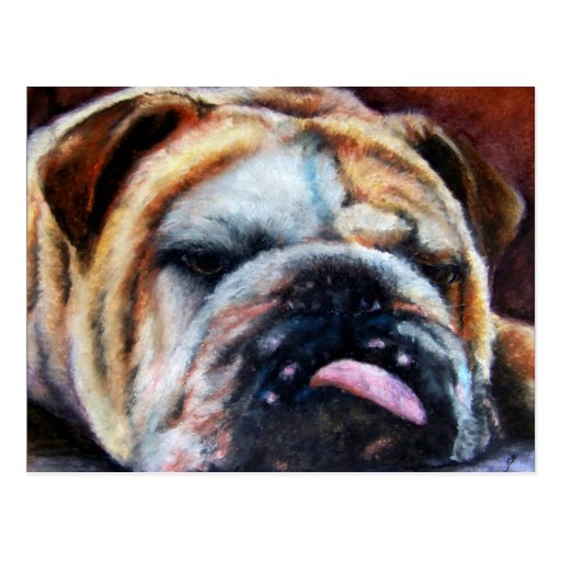 Exhausted (Bulldog) Postcards